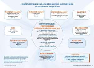 Ausbildungen Kinesiologie im Überblick